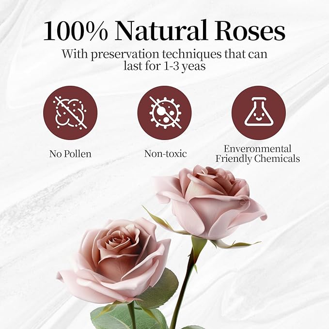 Flower, Forever Roses in A Box, Fresh Flowers, Birthday Gifts for Her, Women, Mom, Girlfriend, Wife, Grandma,Dusty Forever Roses