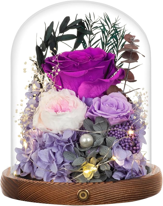 Large Preserved Flowers with Card&Box-Flowers for Delivery Prime,Eternal Rose with Lights,Roses in Glass Dome,Romantic Gift for Her,Decoration,Fresh Rose Flowers for Mom,Birthday,Anniversary (Purple)