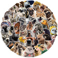 Realistic Animals Stickers for Teens Boy Girls|50 Pcs|Waterproof PET Stickers for Laptop Computer Phone Tablet Scrapbook Flasks Water Bottle Bike Notebook Cup,Trendy Decals Pack for Gift(Animals)