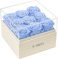 Rosaura Square Preserved Roses Gift Box - Real Forever Flowers in Clear Acrylic Lid, Valentine's for Women (Sky Blue, 9 Roses)