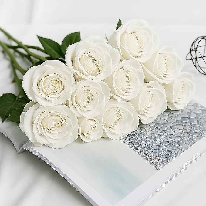 White Roses Artificial Flowers 15 PCS, Fake Roses Silk Flowers with Long Stems, Faux Rose for Wedding Centerpieces, Home Decor, Indoor Floral Arrangements, Party Decor, DIY Bouquet (White)