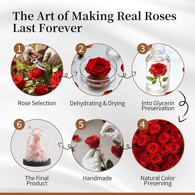 SEEROSE Preserved Rose with Cupid Bear in Glass Dome, Eternal Real Rose Romantic Gift for Her, Women, Mom, Wife, Girlfriend, Valentine’s Day, Mother’s Day, Christmas, Birthday (Cupid Bear, Pink)
