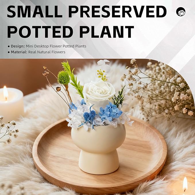 Preserved Floral Gift Set, Everlasting Rose in Small Ceramic Pot - Lasting Beauty for Home Table Decor, Mother's Day, Valentine's Day, Birthday, and Anniversary (White)
