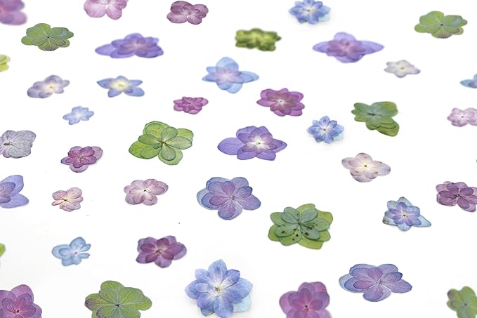50 Pcs Mixed Hydrangea Dried Pressed Flowers for Crafts,Real Nature Dry Flower Bulk for Resin Jewelry Making Candle Making Frame Decoration Art Floral Decors