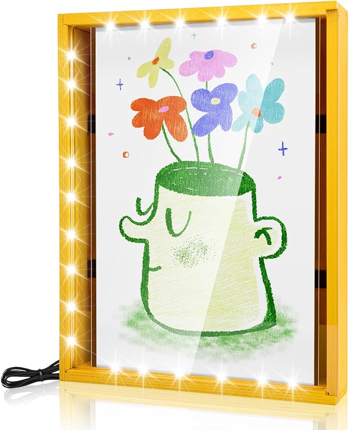 Artwork Shadow Box with LED Light Dimmable Changeable Picture Display & Storage Frame Wall-mounted & Tabletop Dried Flowers Display Frame(Sunflower)