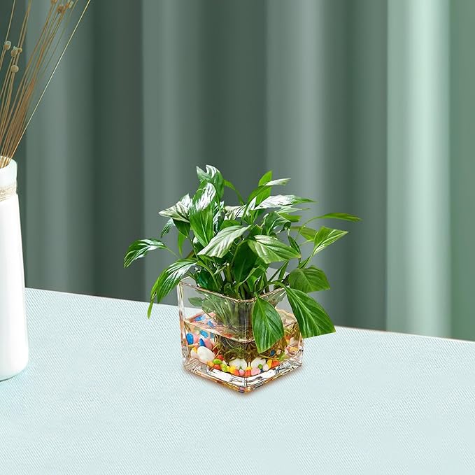 SMASOLO Clear Hydroponic Glass Cube Vase Thickened Square Flower Planter Decorative Hydroponic Flower Container for Home Office Table Centerpiece