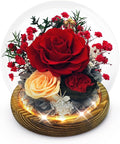 Preserved Flowers Birthday Gifts for Women Preserved Rose in Glass Dome Forever Fresh Flowers for Delivery Prime Red Eternal Rose Gifts for Her Valentines Day Anniversary for Wife Girlfriend