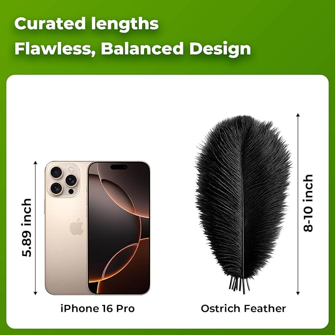Piokio 20 pcs Natural Black Ostrich Feathers Plumes 8-10 inch(20-25 cm) Bulk for DIYclothes Plumas para, Feather Pens, Dream Catcher, Gatsby Decorations