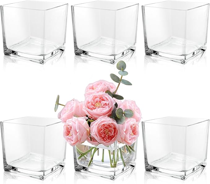 6 Pack 5 x 5 x 5 Inch Square Glass Vases, Clear Square Vases for Centerpiece, Cube Flower Vase for Candle Holder Events Wedding Party Home Decoration