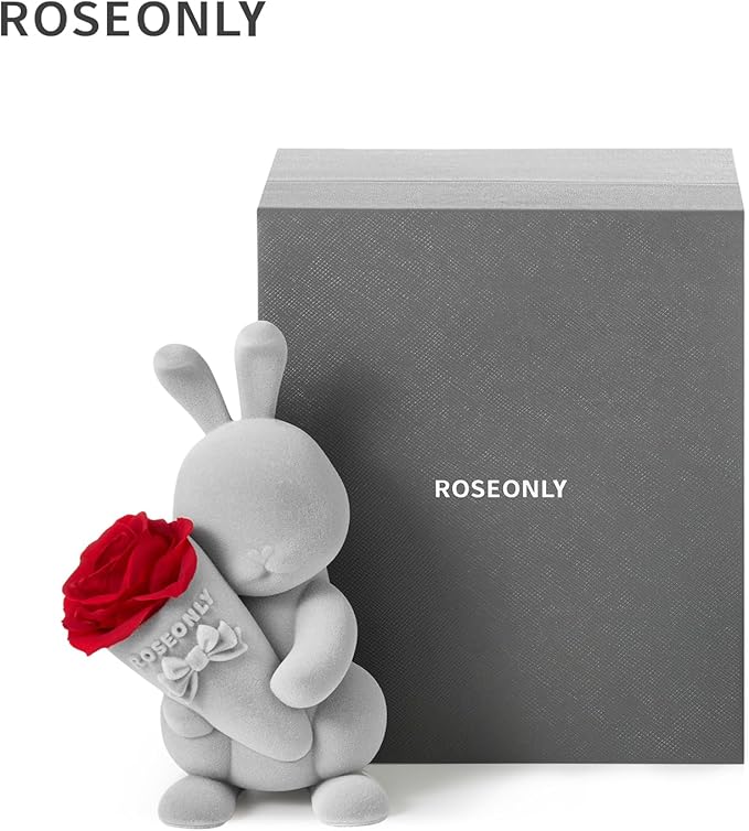 roseonly. Preserved Rose with Sweet Bunny, Eternal Flowers Gifts for Women Girlfriend Wife Mothers Real Roses for Valentine's Day Christmas Birthday Mother's Day Anniversary (Mini)