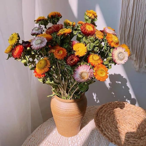 12Pcs Natural Dried Daisy Flowers Stems - Real Natural Dried Flowers Bouquet for Vase, Farmhouse Rustic Wedding Home Decor, DIY Handmade Dry Flower Arrangement, Gardening, Gift, Multi-Colored