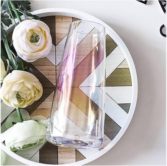 FANTESTICRYAN Modern Glass Vase Irised Crystal Clear Glass Vase for Home Office Decor (Neon Clear)