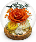Preserved Rose Birthday Gifts for Women Preserved Flowers in Glass Dome Forever Fresh Flowers for Delivery Prime Red Eternal Rose Gifts for Her Valentines Day Anniversary for Wife Girlfriend