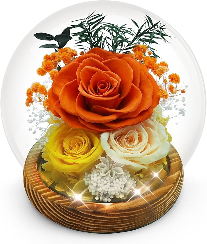 Preserved Rose Birthday Gifts for Women Preserved Flowers in Glass Dome Forever Fresh Flowers for Delivery Prime Red Eternal Rose Gifts for Her Valentines Day Anniversary for Wife Girlfriend