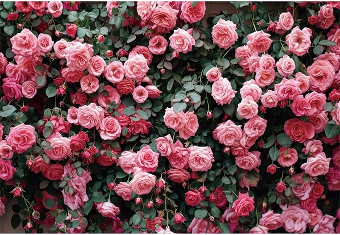12x10ft Pink Rose Flower Photo Background Wedding Bridal Newborn Shower Birthday Party Photography Backdrops Banner Decor Anniversary Ceremony Couple Studio Props
