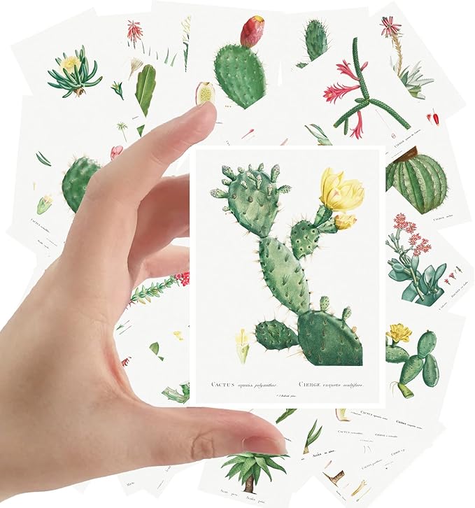 Large Stickers 24 pcs (2.5"x3.5" Each) Cactus and Succulents Vintage Botannical Books Illustrations by Redoute Retro Postcards Greeting Card Reprint