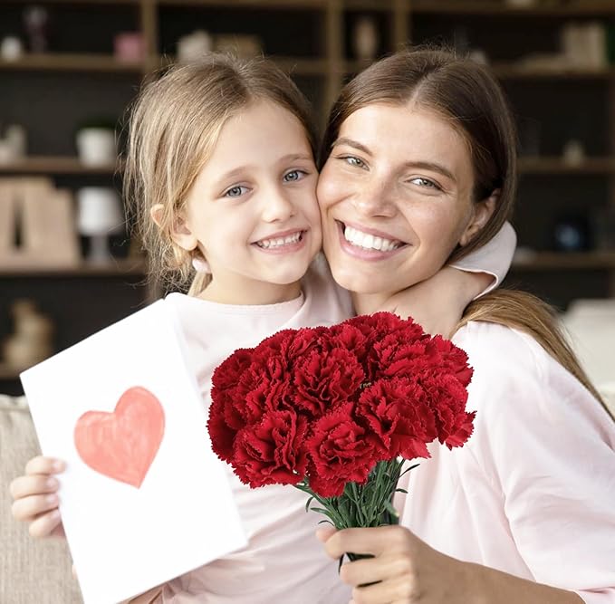 Carnations Artificial Flowers 15PCS 21.25in Velvet Fake Carnations Flowers for Wedding Home Table Centerpieces Floral Arrangements(Retro Red)