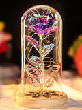 Beferr Christmas Birthday Gifts for Women, Mom Gifts for Christmas Galaxy Glass Rose Forever Preserved Flowers for Delivery Prime Rose in Glass Dome Xmas Gifts for Grandma Wife Sister Her, Purple