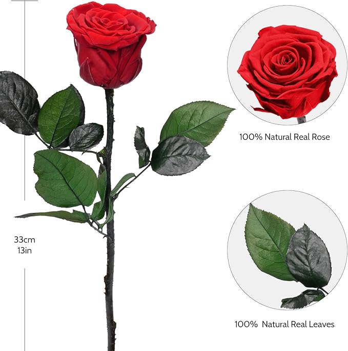 Yamonic Preserved Flowers Rose Gifts for Mom Grandma, Mom Birthday Gifts for Women, Mothers Day Real Flower Rose Gifts for Moms,Her,Wife,Girlfriend on Christmas,Valentine's Day,Anniversary, Home Decor