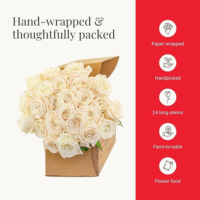 BloomsyBox - White Roses - 24 Long Stems,Long Lasting, Hand-Tied in Eco-friendly, Vase Not Included, Fresh Flowers for Delivery – Gift for Birthday, Anniversary, Get Well, Congratulations, Wedding