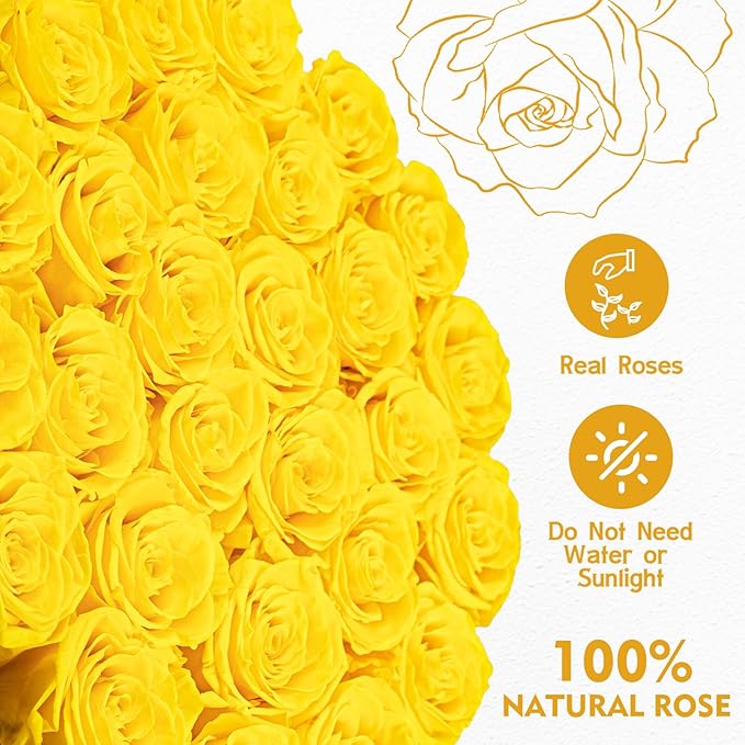 Forever Flowers 27 Roses in A Box, Real Preserved Roses, Birthday Gift for Women, Mother's Day, Anniversary Day - Yellow Rose