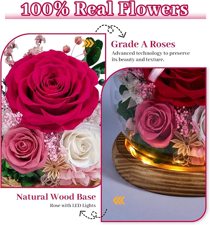 Preserved Roses Forever Flowers in Glass - Birthday Gifts for Women Mom, Real Flowers for Delivery Prime | Rose Gift for Grandma Wife Sister Friend (Mix Fuchsia)