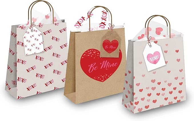 Pro Supply Global 24 Count of 2.5 Inch x 3 Inch Pre Strung XOXO Valentine's Day Gift Tag Assorted Printed Designs on Large Cardstock Gift Hang Tags - Ideal to Use on Bags