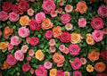Floral Backdrop for Photography Mother's Day Backdrop Wedding Backdrops Spring Flower Photography Backdrop Backdrops for Photographers Studio Props 10X8FT 049
