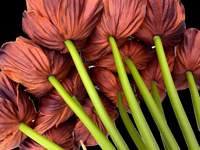 14Pcs Real Touch Anemone Poppy Bouquet for Artificial Flower Decor Kitchen Table Centerpiece Vase Home Greenery Wedding Holding Flowers Backdrop Arch Wall (Brown)