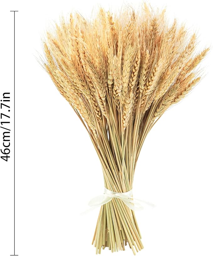 Uieke 600 Stems Dried Wheat Stalks, 17.7 Inches Dried Flowers 100% Natural Wheat for Home Kitchen Wedding Party Table Centerpiece Harvest Wreath Boho Farmhouse DIY Decoration