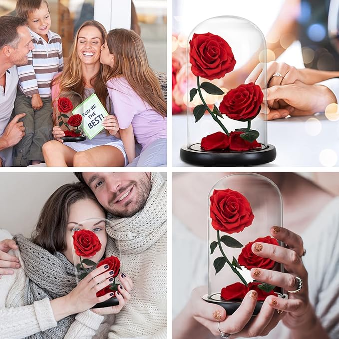 Gifts for Women Forever Preserved Red Rose,Birthday Valentines Day Gift with Red Eternal Flower in Glass Dome,Gifts for Valentine's Day Mothers Day Christmas Anniversary Birthday (#red)