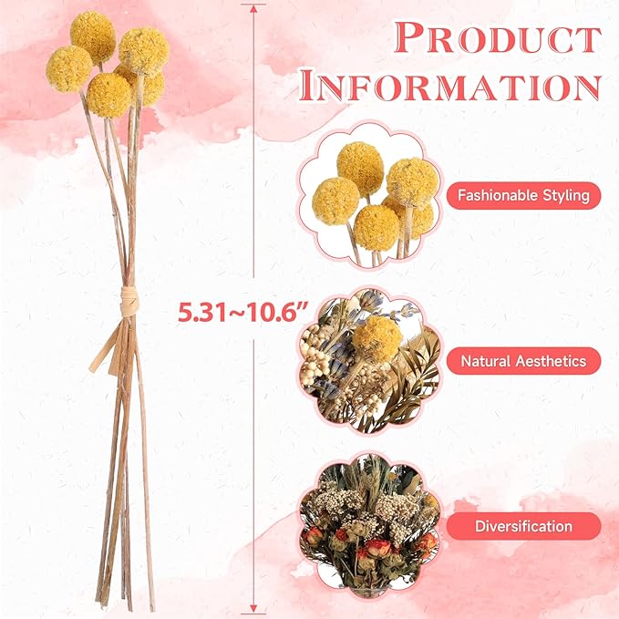 12 Kinds of Dried Flowers for Crafts Bulk DIY Natural Dried Pampas Grass Rose Lavender Babys Breath with Stems Dry Flower Bouquets with Hemp Rope Handmade DIY Ideas Home Decor Floral Arrangement