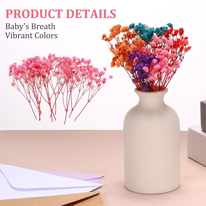 PATIKIL Mini Dried Gypsophila Flower Kit, 30Pcs 4 Inch Light Pink Natural Pressed Floral Bundles with Tweezer for DIY Resin Crafts Gift Wedding Christmas Card Decor Flower Bouquets