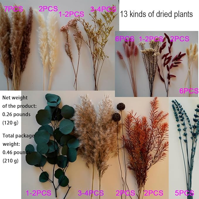 Natural Dried Pampas Grass Bouquet,17" Natural Dried Flower Bouquet，Pampas Grass Silver Dollar Leaf Decoration， Bohemian Style Family Wedding Country Farmhouse Decorated with Dried Flowers