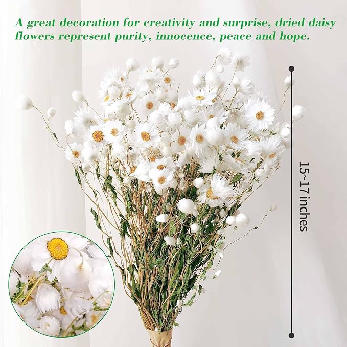 Dried Daisy Flowers Bouquet, 150+ Dry White Flowers, Artificial Sunflowers, 17'' Natural Gerber Daisies Arrangements for Farmhouse Vase Decor, Wedding, DIY Home Office Party Decoration