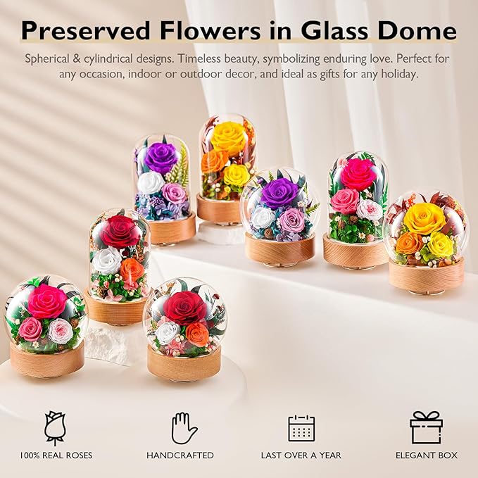 Eterfield Flowers for Delivery Prime, Christmas Preserved Roses Gifts for Women - Forever Flower in Glass Dome Birthday Gifts for Mom Wife Grandma Her Valentine’s Day (Purple, Cylindrical)