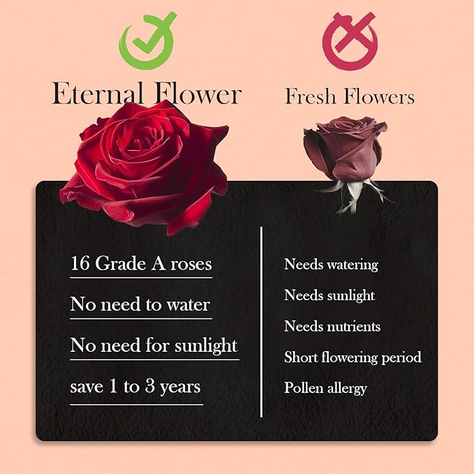 27 Preserved Roses in Heart-Shaped Box, Flowers for Delivery Prime Last up 2 Years, Real Forever Flowers for Wife, Girlfriend, Mother, Eternal Roses for Anniversary - Red