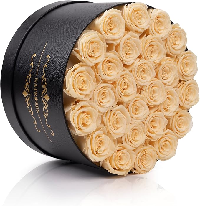 NATROSES 27 Piece Forever Preserved Roses in a Box, Preserved Flowers for Delivery Birthday, for Mom, Buttermilk