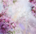 Abstract Watercolor Painting Pink Apricot Tree Flower Backdrop Soft Colorful Blur Style with Bokeh Spring Floral Seasonal Nature Photography Background Grunge Paper Background Decor Vinyl 8x6ft