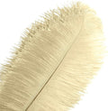 Piokio 10 pcs Natural Champagne Ostrich Feathers 14-16 inch(35-40 cm) Bulk for Wedding Party Decoration Gatsby Decorations