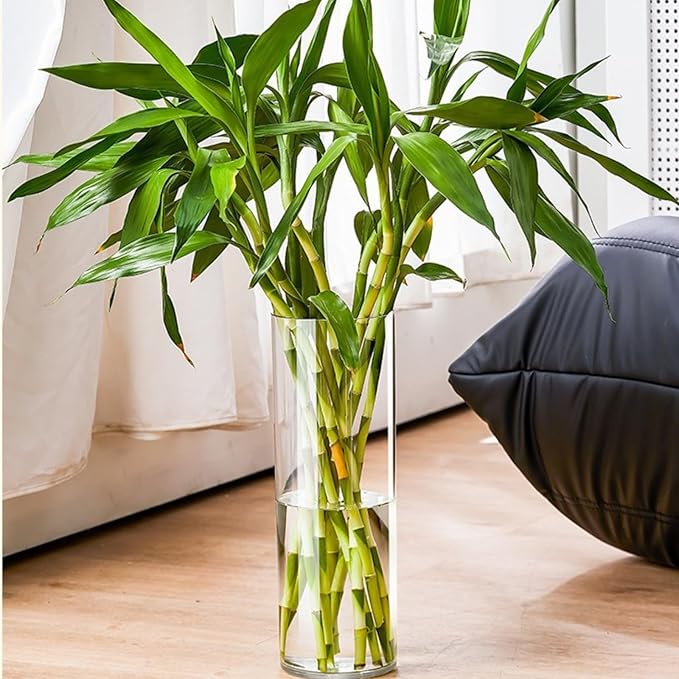 Clear Acrylic Flower Vase, Modern Unbreakable Decorative Cylinder Vase for Wedding Bouquets, Centerpieces, and Home Decor - 10cm Diameter, 50cm Height