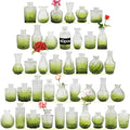 Glass Bud Vases Set of 40 PCS, Small Flower Vases for Wedding Centerpiece Table Decoration, Vintage Vase in Bulk for Flower Arrangements, Mini Vase for Birthday Party, Festival Home Decor,Green