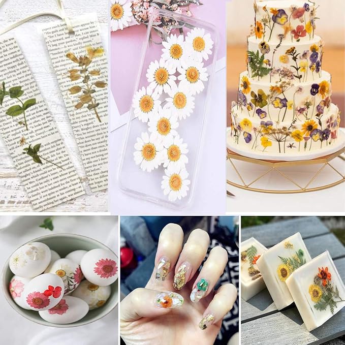 131PCS Black White Dried Pressed Flowers with Butterfly Stickers - YouthBro Real Nature Flowers Craft Set for Craft Resin DIY Jewelry Candle Soap Making Nail Card Scrapbook Art Floral Decors