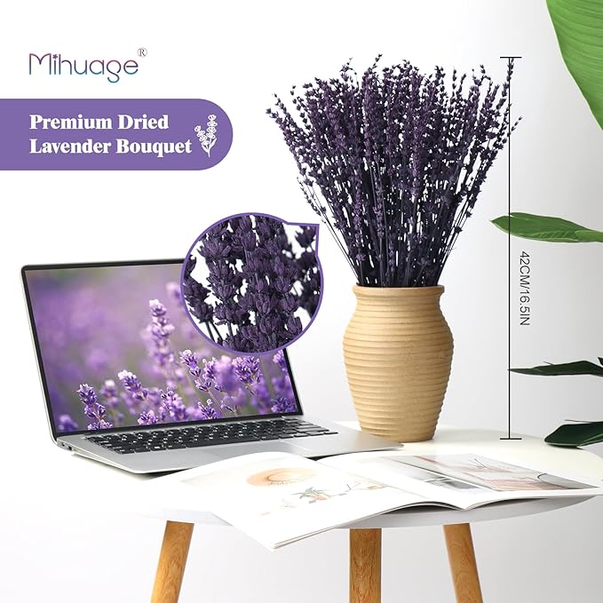 Dried Preserved Lavender Flowers - 2 Bundles with 3.5oz for Home Decor, DIY Arrangements, Photo Props, & Fragrance - 15"-17", Purple Lavender Bunches.