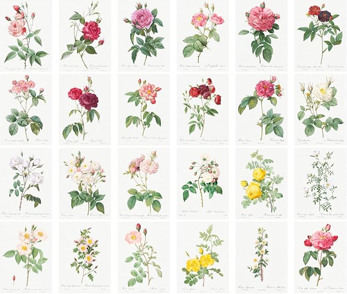 Large Stickers 24 pcs (2.5"x3.5" Each) Roses Flowers Vintage Botannical Books Illustrations by Redoute Retro Postcards Greeting Card Reprint