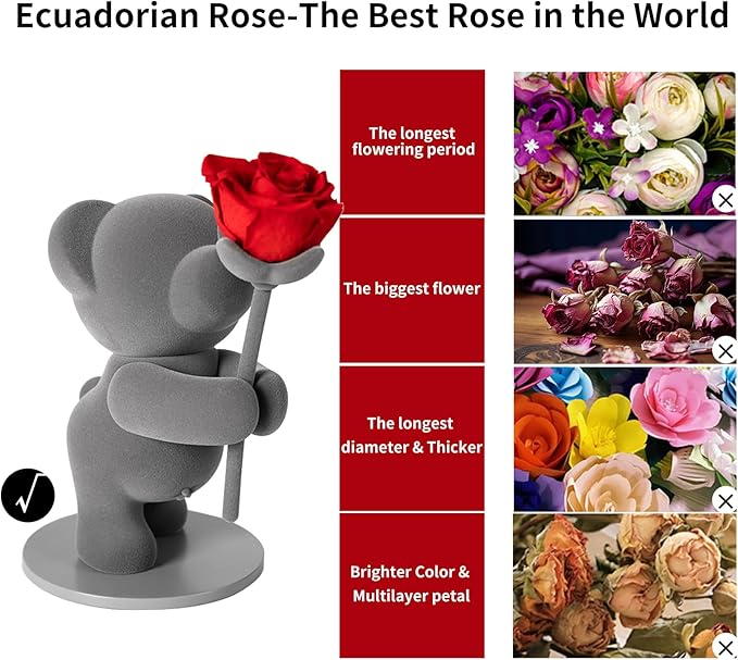 JoyFlower Preserved Flowers with Cute Teddy Bear, Eternal Real Rose Romantic Gift with Elegant Gift Box for Girlfriend Wife Her in Valentine's Day, Birthday, Christmas, Weddings, Anniversaries