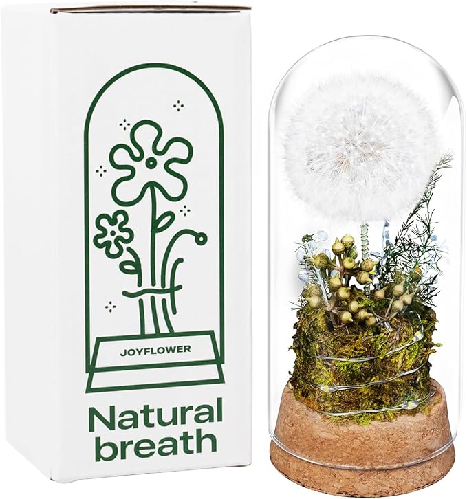 JoyFlower Preserved Dandelion in Glass Dome, Real Dandelion Eternal Flowers Gifts for Women, Preserved Flower Friendship Gifts for Girlfriend Best Friend Sisters Daughter Birthday Graduation Gift