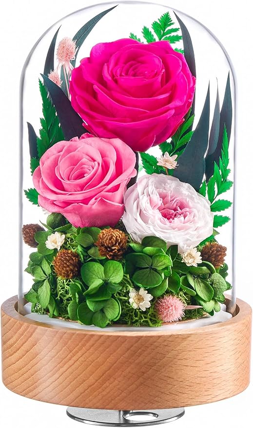 Eterfield Flowers for Delivery Prime, Christmas Preserved Roses Gifts for Women - Forever Flower in Glass Dome Birthday Gifts for Mom Wife Grandma Her Valentine’s Day (Hot Pink, Cylindrical)