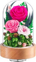 Eterfield Flowers for Delivery Prime, Christmas Preserved Roses Gifts for Women - Forever Flower in Glass Dome Birthday Gifts for Mom Wife Grandma Her Valentine’s Day (Hot Pink, Cylindrical)
