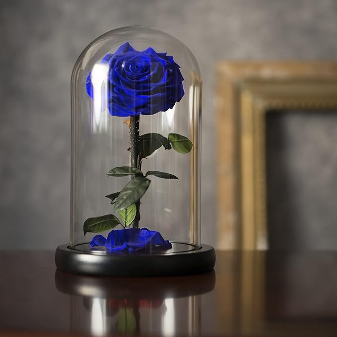 Forever Preserved Rose - Eternal Rose in Glass Dome - Beauty and The Beast Rose for Mom - Fresh Flowers in Glass (Blue, 9 Inch)